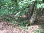 Cmentarz husycki w Taborze W.